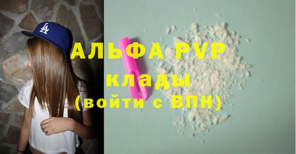 ПСИЛОЦИБИНОВЫЕ ГРИБЫ Горняк