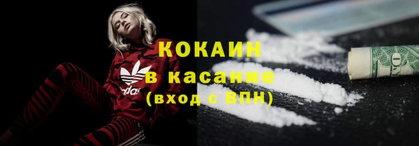 ПСИЛОЦИБИНОВЫЕ ГРИБЫ Горняк