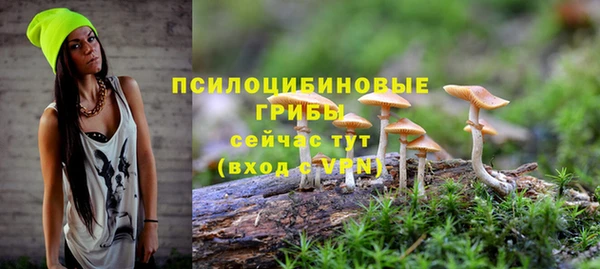 apvp Бежецк