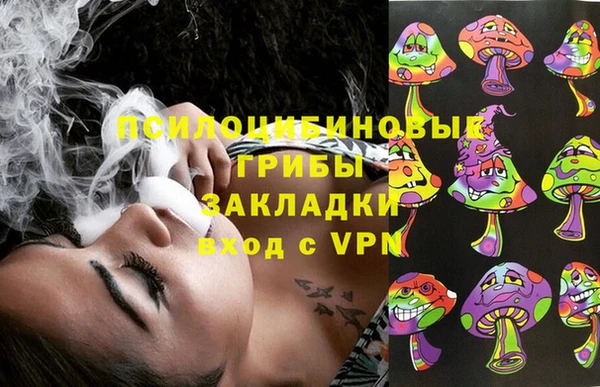 ПСИЛОЦИБИНОВЫЕ ГРИБЫ Горняк