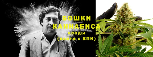 МДПВ Горнозаводск