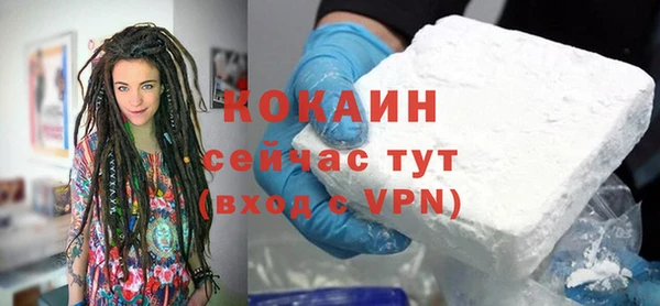 ПСИЛОЦИБИНОВЫЕ ГРИБЫ Горняк