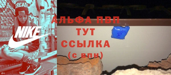 ПСИЛОЦИБИНОВЫЕ ГРИБЫ Горняк